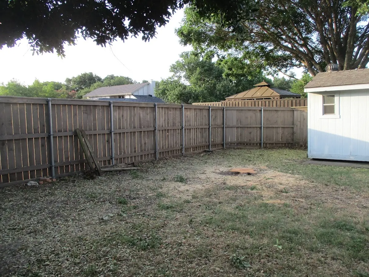 Cleared yard after professional tree removal in Nicholls
